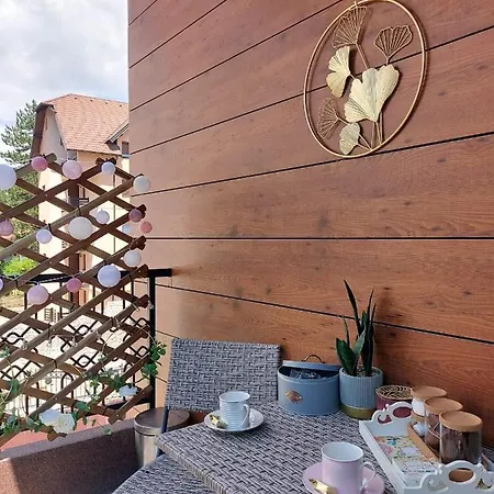 Asteri Златибор