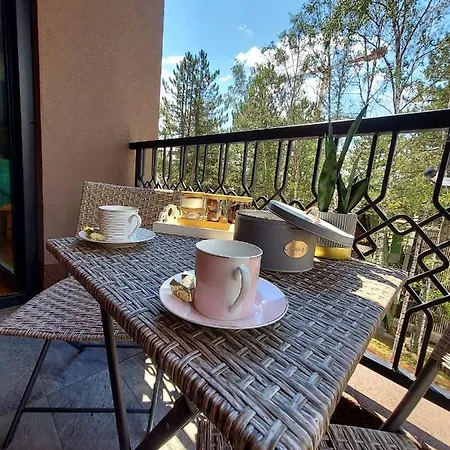 Asteri * Златибор